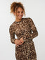 Top Shiva | Leopard