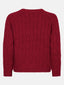 Knitted sweater Fiene | Red