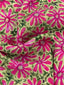 Pants Zola | Pink flower