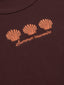 Top Sea shells | Brown